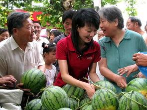 网络吃瓜,揭秘娱乐圈幕后真相